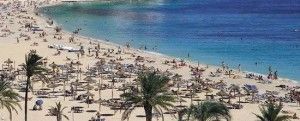 купить недвижимость в Кальвии